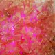Кристаллы розовой гималайской соли внутри Himalaya Clima Cube. Производство Iso Benessere, Италия